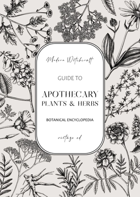 Apothecary plant frame design. Witchcraft background. Herbal remedies, medicinal plant, witch herbs, natural medicine hand-drawn vector illustration. Vinatge card template. NOT AI genereted